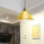 Import Black white red green yellow orange blue color and Aluminum Material pendant lamp led indoor lighting from China
