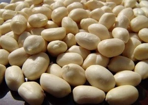 Blanched Bold Peanuts With price