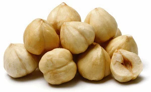 Blanched Hazelnuts with favorable price