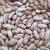 Import Bulk China Dark kidney beans, British Red Beans, RKB for sale from Brazil