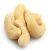 Import Cashew nuts WW320 from India