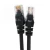 Import Cat5e UTP Coiled Patch Cable TPU Spiral Cable Network Retractable Coil 8P8C RJ45 Plug Patch Cable from China