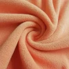 Cheap Micro Polar Fleece Two Sided Brushed Antipiling Jacket Fabric