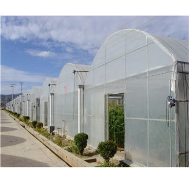 Cheap Plastic Greenhouse With Best Quality