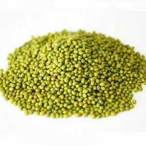 China Good Quality Best Price Green Mung Beans Buyers 3.2-3.8mm