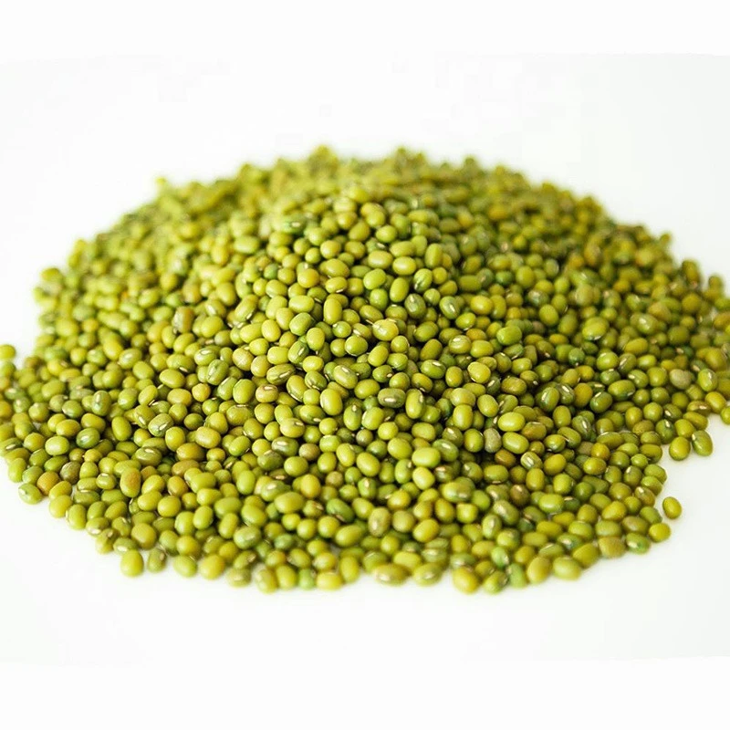 China Good Quality Best Price Green Mung Beans Buyers 3.2-3.8mm