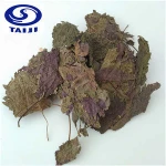 Chinese Healthy Products Herb Medicine Perilla Leaf With Factory Price