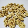 Chinese high quality whole walnut in shell,walnut kernels orginal place
