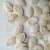 Import Chinese Shine Skin Pumpkin Seeds Wholesale from China