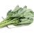 Import Chinese Supply Fresh Kale Vegetable from China