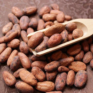 Cocoa Beans Dry Raw Natural Fino de Aroma Arriba