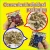 Import Convenient Corbicula seafood & nuts mixed snack for wholesale , bulk packs also available from Japan