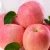 Import Crisp Organic Apple Honey Crisp Fresh Apple Gala Red Royal Fuji Apple from China