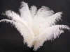 Crystal Ostrich Feather for wedding decoration home decoration