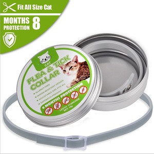 Buy Custom 8 Month Protection Pet Anti Eliminating Flea And Tick Cat ...