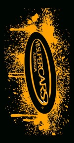 Custom All Cotton Printed Sports Towel Beach Towel