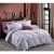 Import Customized bedding set 100% cotton egypt comforter bed sheet from China