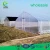 Import Single-Span Agricultural Greenhouses, Greenhouse Parts, Growing Tomato Seeds from China