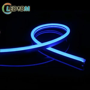 DC12V 24V flexible LED neon tube light 5050 Single Color RGB RGBW Full Color Waterproof for Outdoor Indoor Use