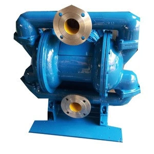DH-DW-ZC10-100 food grade electric operated water double diaphragm pump manufacturers