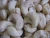 Import Dried Cashew Nut Without Shell Raw Seeds from Thailand