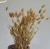 Import Dried flower bouquet colorful lagurus ovatus rabbit tail grass flower set of 50pcs flower from China