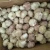 Import dried red garlic fresh wholesale garlic peeled garlic from China