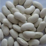 dry white beans