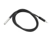 DS18B20 Probe Sensor with Stainless Steel Tube 3.5mm Audio Jack