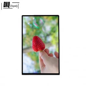 DXQ 10.1 Inch TFT IPS LCD Display Module with Touch Driver 1600*2560 pixel 400 nits MIPI Interface HD 2K TFT LCD Display Screen