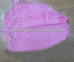 dyed Ostrich feather for carnival