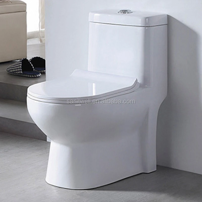 Easy Cleaning One Piece Washdown Toilets with Standard Height for Multifunctional Use