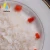 Import Easy to cook rice organic konjac rice from China