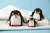 education soft toys diy creativity arts and crafts supplies family penguin felt craft sewing kit for kids