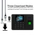 Import Eseye 2.4Inch Fingerprint Time Attendance Biometric Device Time Attendance System from China