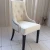 Import European dining chair fabric/velvet/PU luxury hotel chair from China