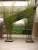 Import Evergreen tall artificial bamboo plant from China