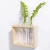 Import Ewer Crystal Glass Test Tube Vase Planter Terrariums Desktop Glass Planter Flower Pots Wooden Stand from China