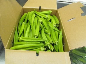 EXPORT PREMIUM FROZEN FRESH OKRA, GOOD PRICE FOR US AND JAPAN MARKET- HIGH QUALITY