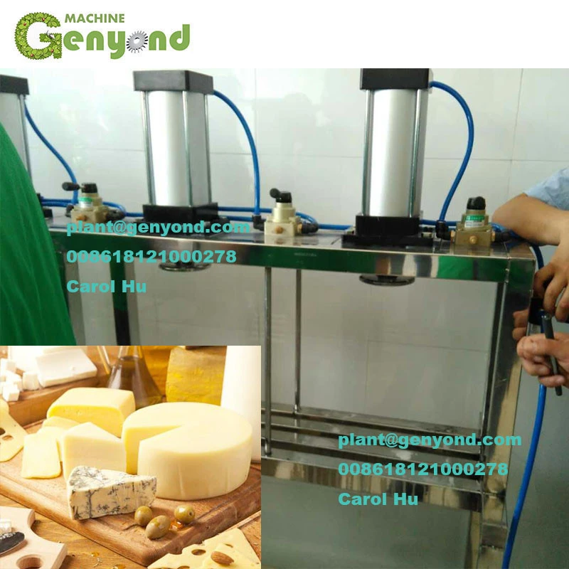 Factory direct supplier round cheese moulding machine