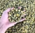 Import Factory Price Is Popular Supplier Chamomile Loose Tea Tea Of Chamomile from China