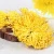 Import Factory Supply Chinese Gold Chrysanthemum Flower Tea Detox  Cheap Sliming Flower Tea from China