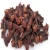 Import Factory Supply Clove Whole sale Spices at affordable price from Germany