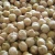 Import Factory Wholesale Cheap Chickpeas for Sale from China