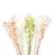 Import Fancy Deep Green  Color Aroma Reed Diffuser Flowers Dried Flowers for Room Decor from China