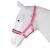 Fancy Equestrian Nylon Halter,Nylon Horse Head Collar For Horse Riding Walking Racing