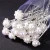 Import Flower Rhinestone Crystal Pearl Hairclips Party Veil Vine Updos Bun Chignon Fancy Wedding Hair Pins Accessories for Women Bridal from China