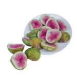 Food Grade High quality fresh fruits vegetables freeze dry fruit