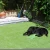 Import Free Sample Hot Selling Decorative Cheap Garden Plastic Artificial Grass Mat from China