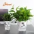Import Free sample wholesale biodegradable clear zebra pattern plastic orchid seedlings plant nursery flower pots from China